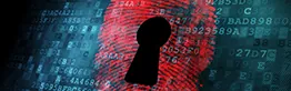 forensic accounting online